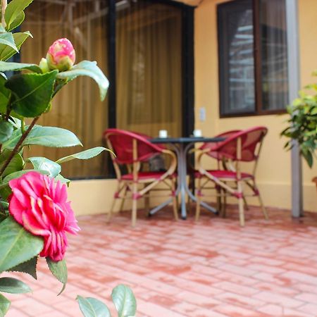 Lasha Apartment Тбілісі Екстер'єр фото